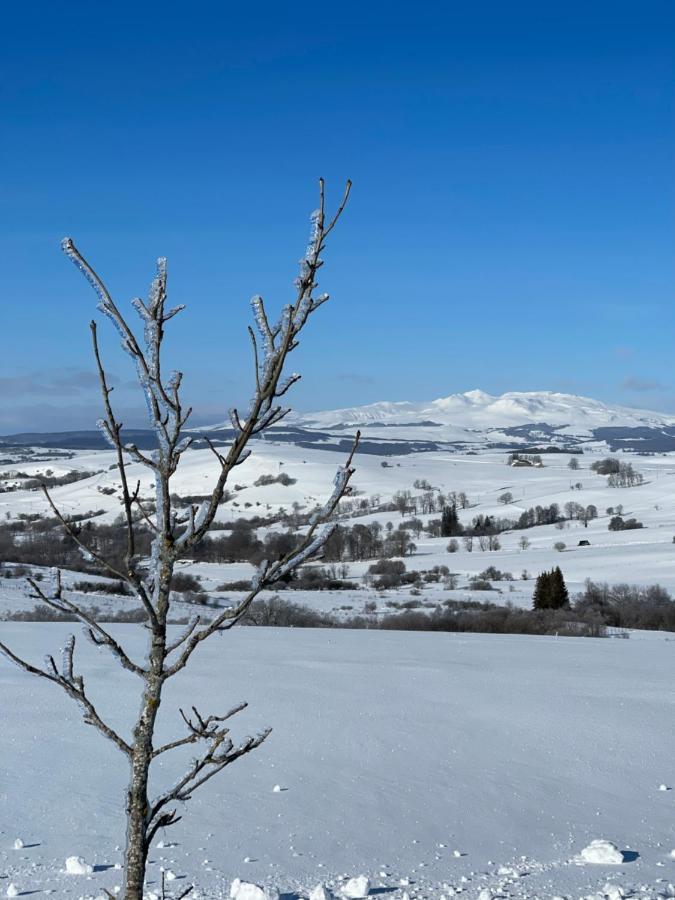 Auberge Du Cezallier Montgreleix Eksteriør bilde